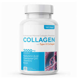 Biomet WeCollagen Type-2 Collagen 45 Tablet - 1