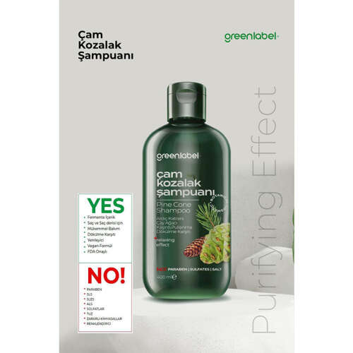 Greenlabel Çam Kozalak ve Çay Ağacı Şampuanı 400 ml - 2