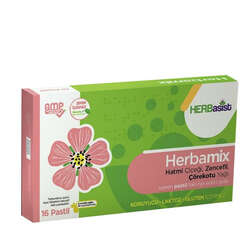 HERBasist Herbamix Pastil Takviye Edici Gıda 16 Adet - 1