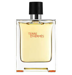 Hermes Terre Dhermes Pure Erkek Parfümü 75 ml - 1