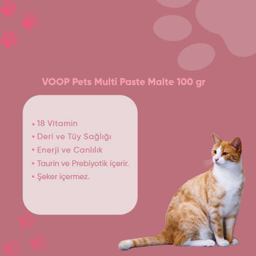 VOOP Pet Kedilerde Destekleyici Multivitamin Macunu 100 gr - 2