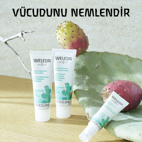 Weleda Kaktüs Nemlendirici Göz Çevresi Bakım Jeli 10 ml - 4