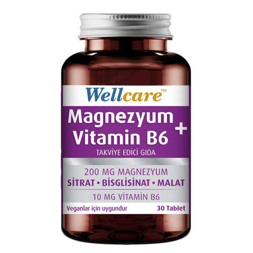 Wellcare Magnezyum Vitamin B6 30 Tablet - 1