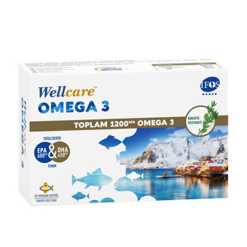 Wellcare Omega 3 Balık Yağı 30 Kapsül - 1