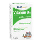 Wellcare Vitamin B12 500mcg 5 ml - 62 Puff - Thumbnail