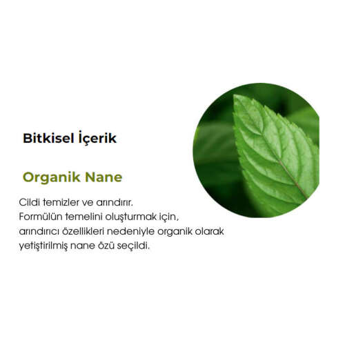 Yves Rocher Pure Menthe Matlaştırıcı Pudralı Tonik 150 ml - 8