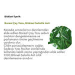 Yves Rocher Sebo Pure Vegetal Gözenek Sıkılaştırıcı Matlaştırıcı Bakım Kremi 40 ml - Thumbnail